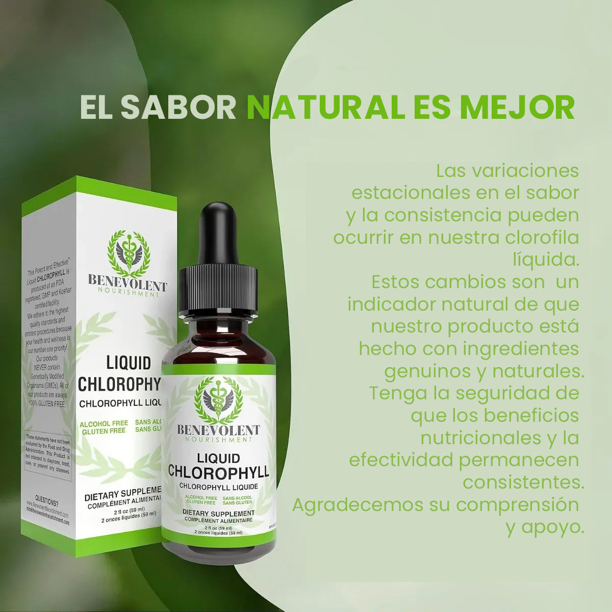 Clorofila líquida Green Essence – Apoya tu digestión, mejora tu energía y revitaliza tu cuerpo Green Essence