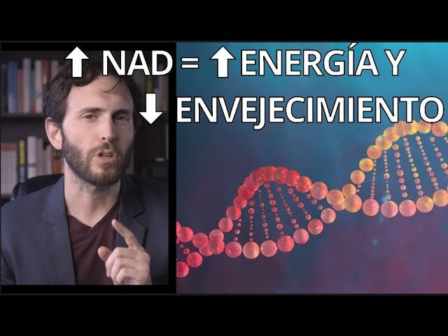 Cargar video: 
